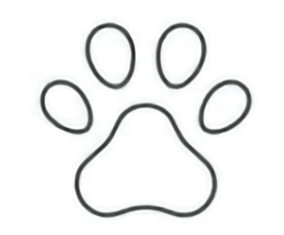 animali